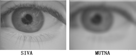 Slika 3 - Slika pre i nakon zamućivanja