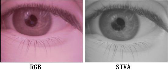 Slika 2 - RGB slika i njen sivi ekvivalent